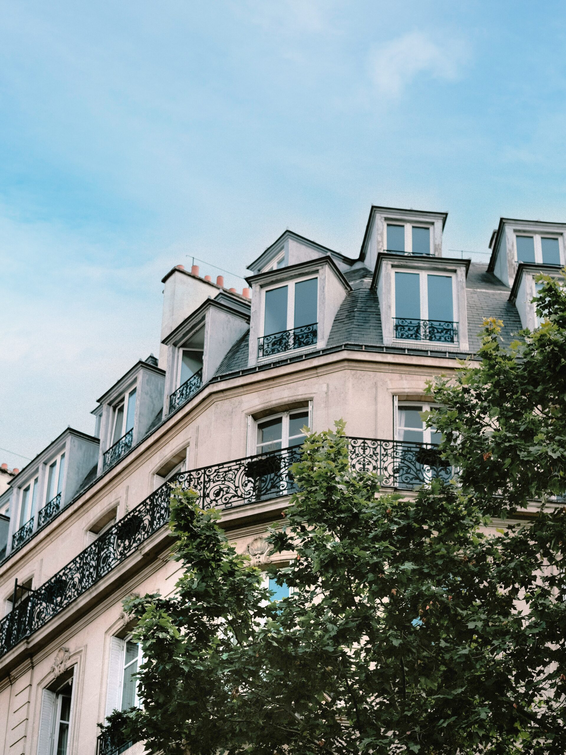 Immeuble avec arbre devant